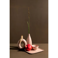 Apple and Honey Dish Set in Blush and Indian Red by Maiyan