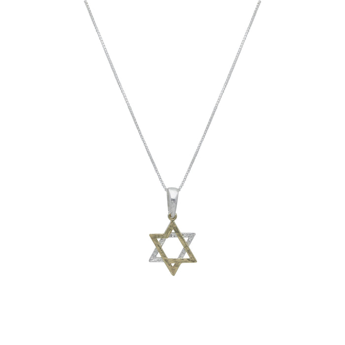 Two-Tone Star of David Necklace By the Israel Museum