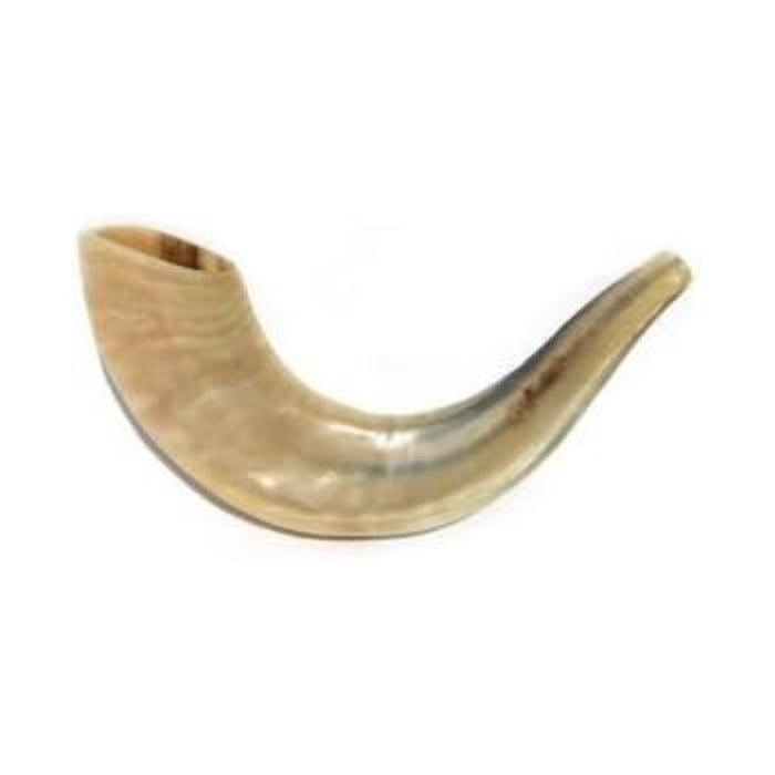 Shofar in Natural Colour