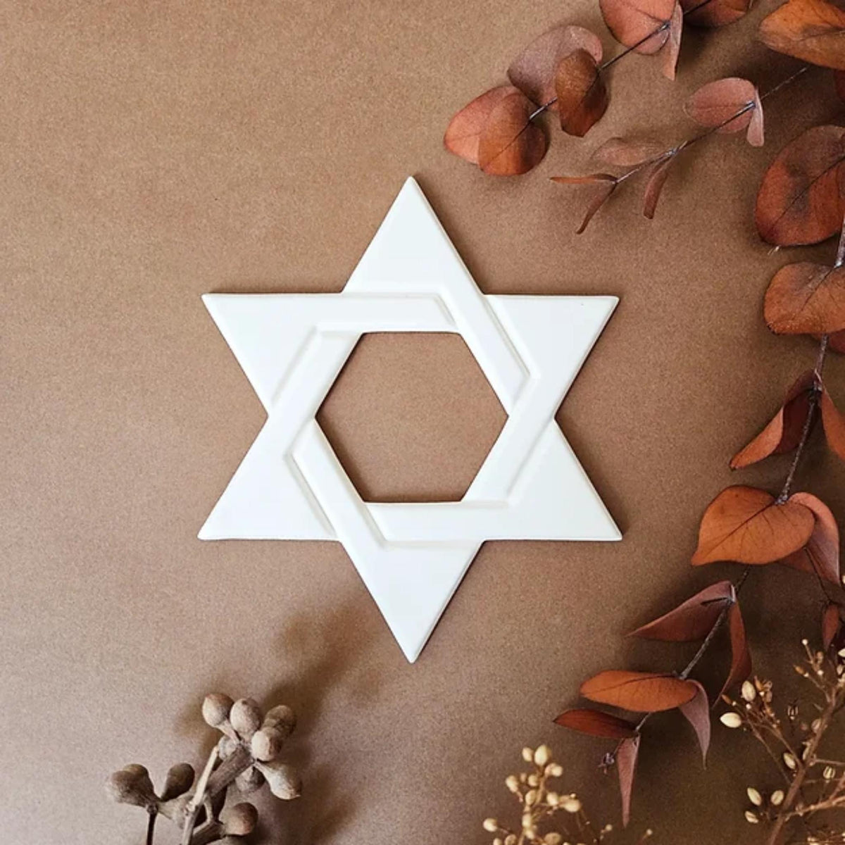 Handmade Ceramic Cream White Star Of David  Wall Hanging by Yahalomis