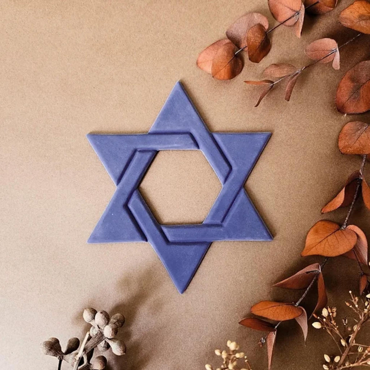 Handmade Ceramic Blue Star Of David  Wall Hanging by Yahalomis