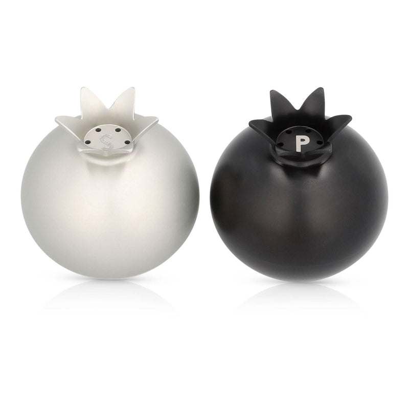 Pomegranate Salt & Pepper Shakers in Black/Silver by Akilov