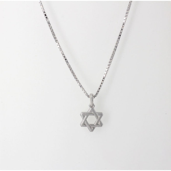 Men's Star of David Pendant on Box Chain by Penny Levi