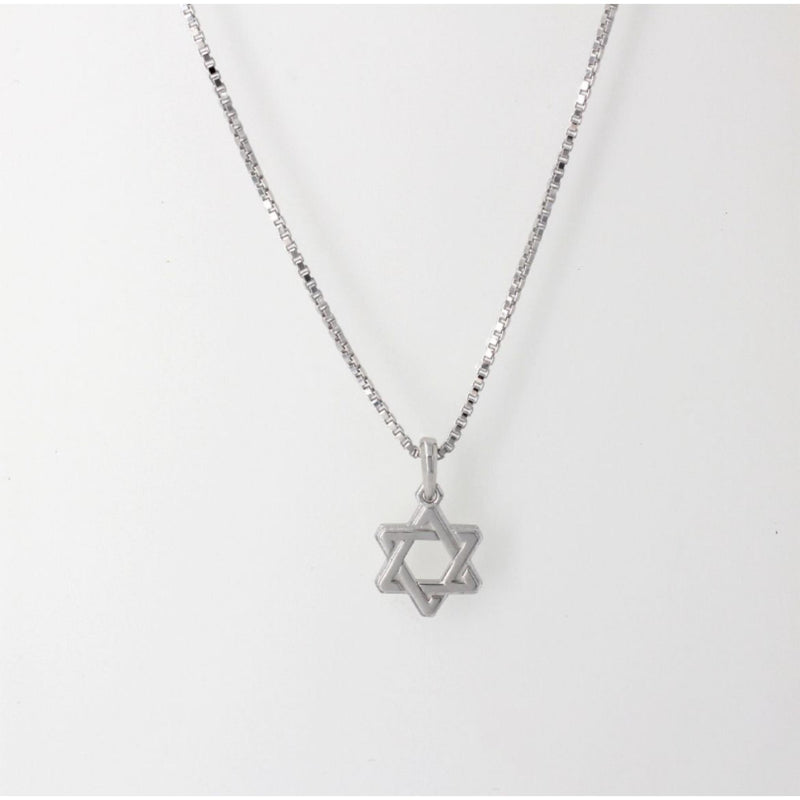 Men's Star of David Pendant on Box Chain by Penny Levi