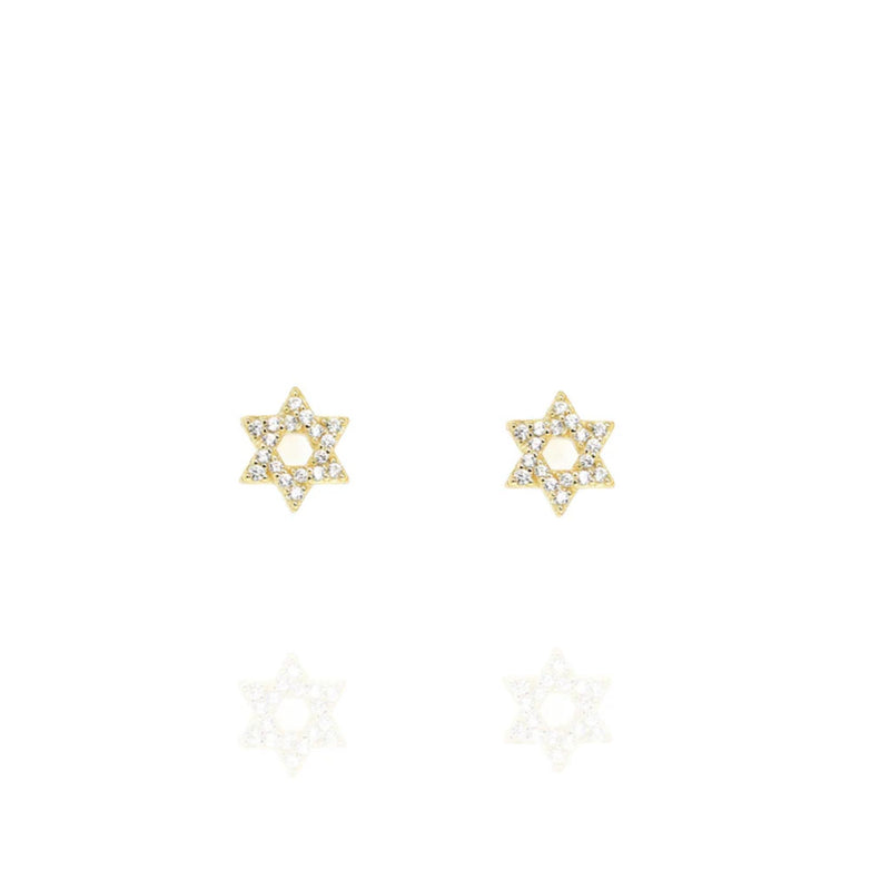 Star of David Earrings in Gold and Cubic Zirconia by Penny Levi