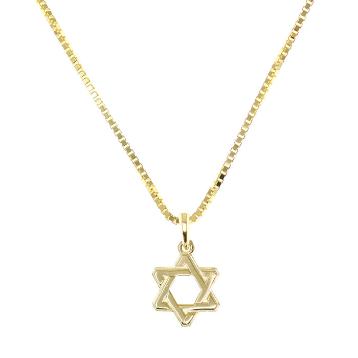 Men's Star of David Pendant on Box Chain in Gold by Penny Levi