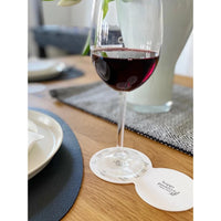 'Happy Passover, Ten Plagues' Glass Coasters