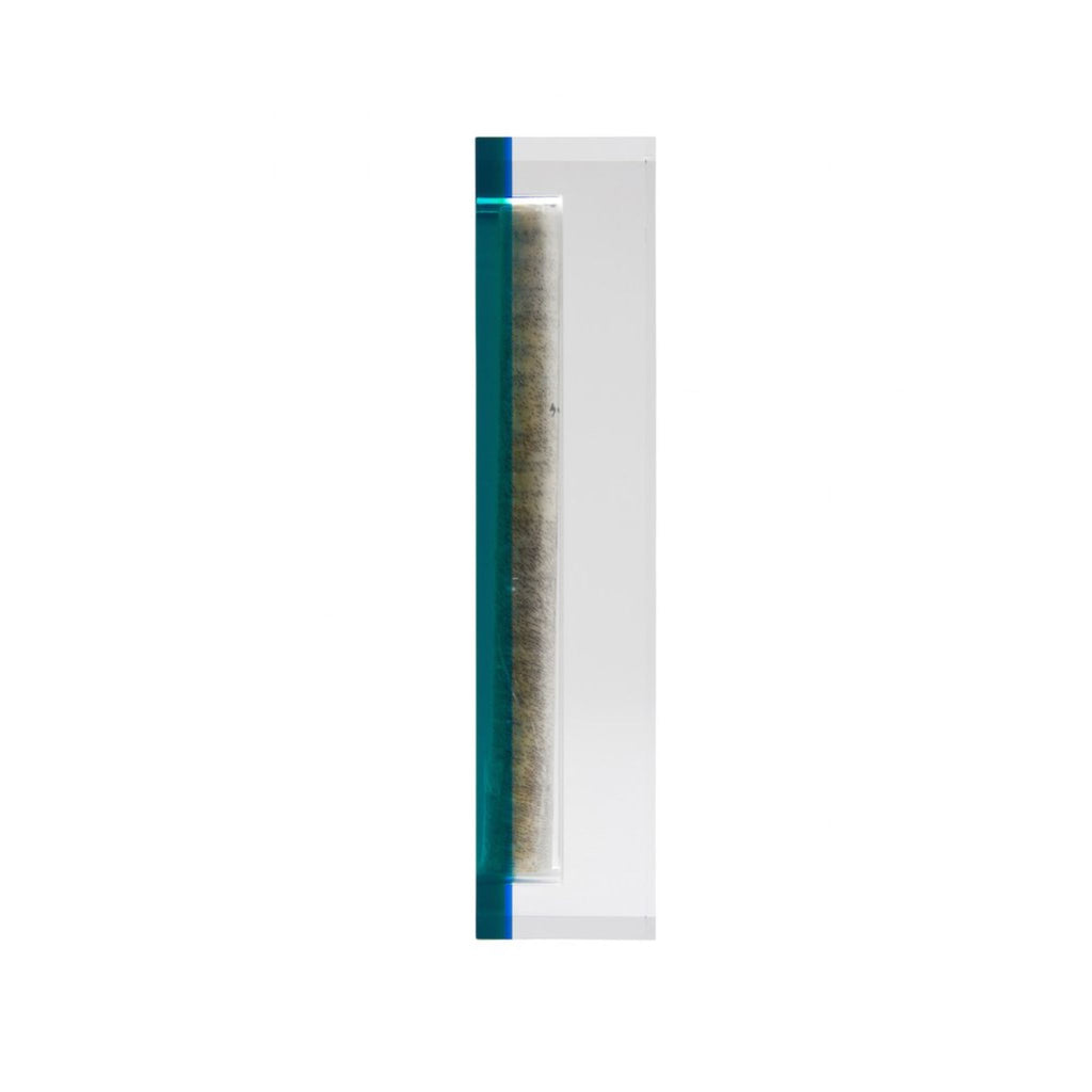 Acrylic Mezuzah in Turquoise by Apeloig Collection