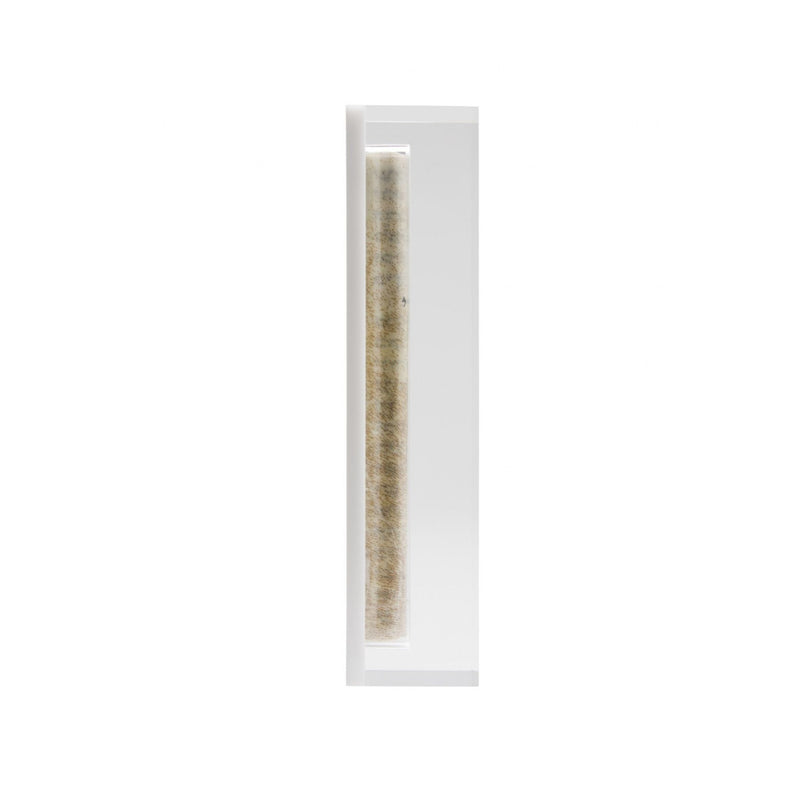 Acrylic Mezuzah in White by Apeloig Collection